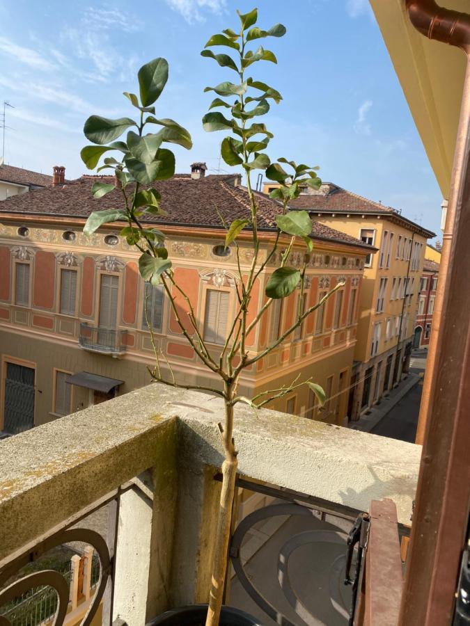 Loft Manzoni 37 Apartment Cremona Exterior foto